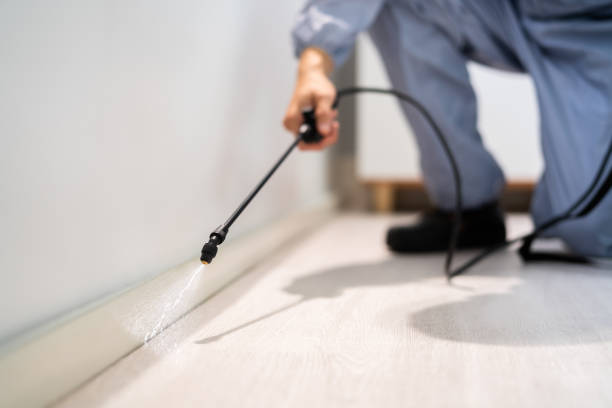 Certified termite inspector examining foundation in Round Lake Beach