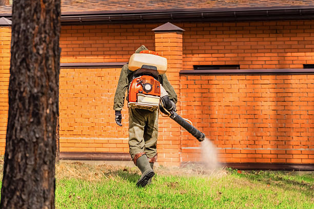 Top rated local Wasp Removal specialists in Round Lake Beach, IL